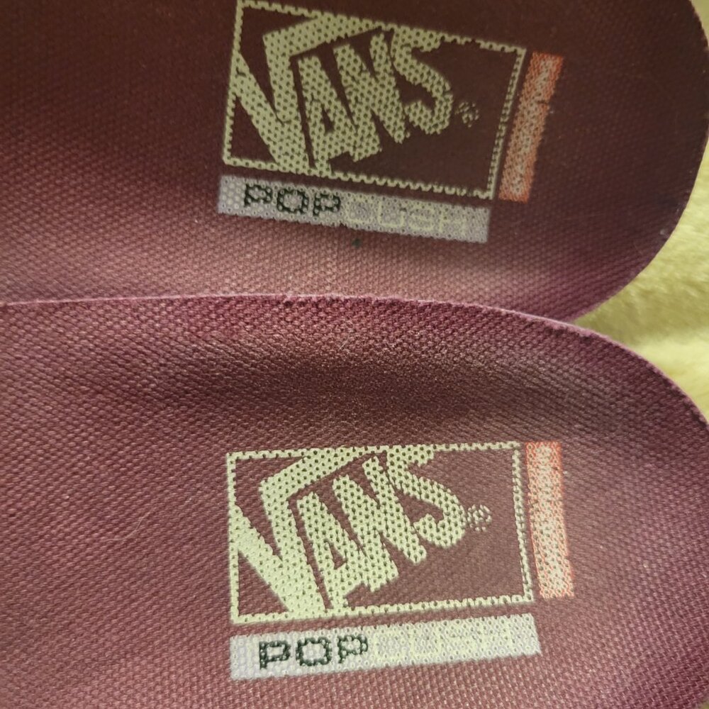 Mens Vans World's #1 Skateboarding Shoe - Picture 14 of 16
